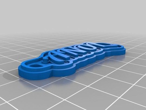 lona contrario keychains customized 3d print model - Mito3D