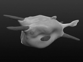 cowfish sculptures 3d print model - Mito3D