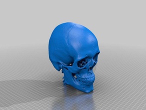 anonymous ct skull 3 biology scan educational human 3d print model - Mito3D