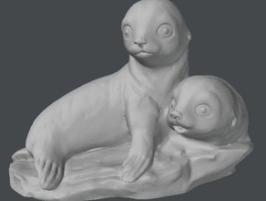 baby sea lions scans replicas 3d scan animal autodesk remake creature creatures eared seal mammal marine mustang dave mustangdave ocean otariinae photogrammetry photoscan 3d print model - Mito3D
