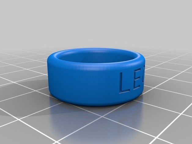 leo ring anelli personalizzato 3D print model - Mito3D