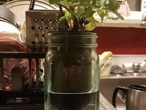 mason jar plant potter self watering planter dont use flawed concept decor 3d print model - Mito3D
