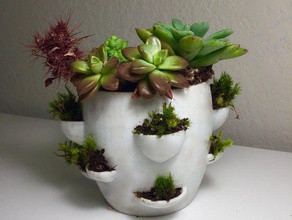 desktop vaso di fiori famiglia principiante ciotola cool il design facile fiore divertente titolare la pianta piantare in piante grasse succulenta 3d print model - Mito3D