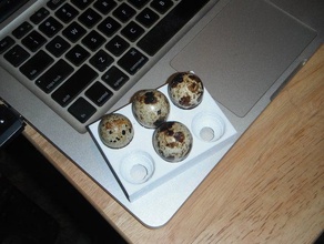 quail egg cradle kitchen dining 3d print model - Mito3D