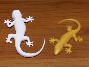 geco1 hayvanlar gecko kertenkele kertenkeleler lucertola 3d print model - Mito3D