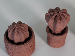 Ton-Kaktus-mix Kunst Keramik Ton drucken 3d print model - Mito3D