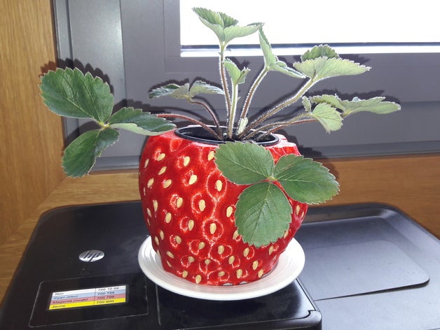 strawberry-pot holder decor 3D print model - Mito3D