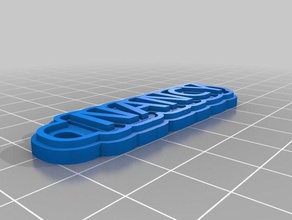 minha personalizado de várias linhas tag chaveiro-nancy chaveiros 3d print model - Mito3D
