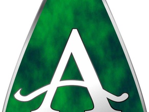green arrow symbol props 3d print model - Mito3D