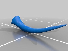 fang viper daboia Tiere Natur toxin 3d print model - Mito3D