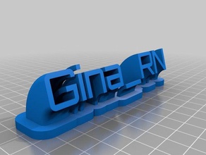 gina rn nameplate office customized 3d print model - Mito3D