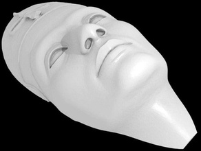 nefertitis face sculptures 3d print model - Mito3D