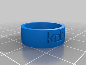 rugissement trousseau de clés les anneaux personnalisé 3d print model - Mito3D