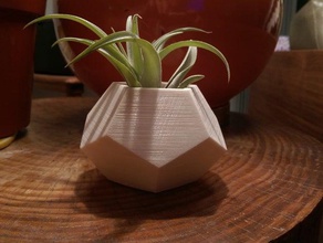 geometric planter outdoor garden dodecahedron small vase 3d print model - Mito3D