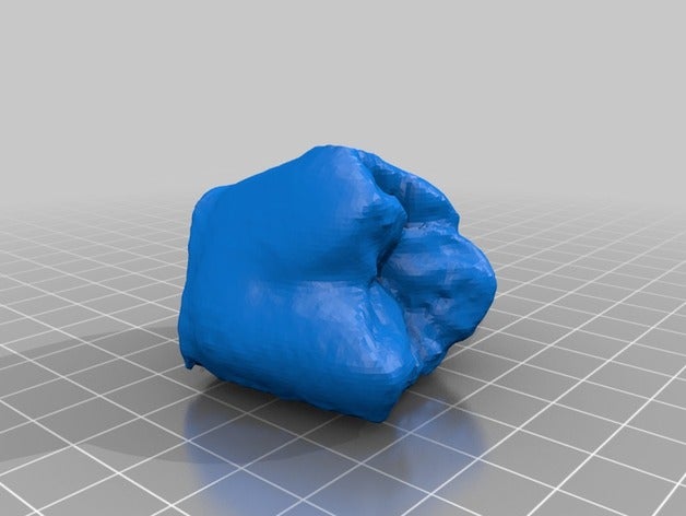 tercer max molar exploraciones las réplicas makerbotdigitizer 3D print model - Mito3D