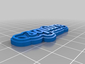 squire keychains customized 3d print model - Mito3D