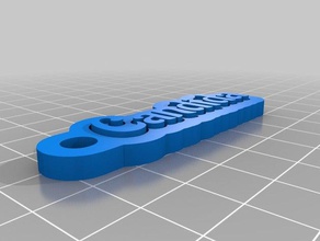 özelleştirilmiş çok satırlı etiket anahtarlığım Anahtarlık 3d print model - Mito3D