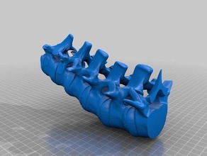 spine splitted up 200x200 printbeds um2 props 3d print model - Mito3D