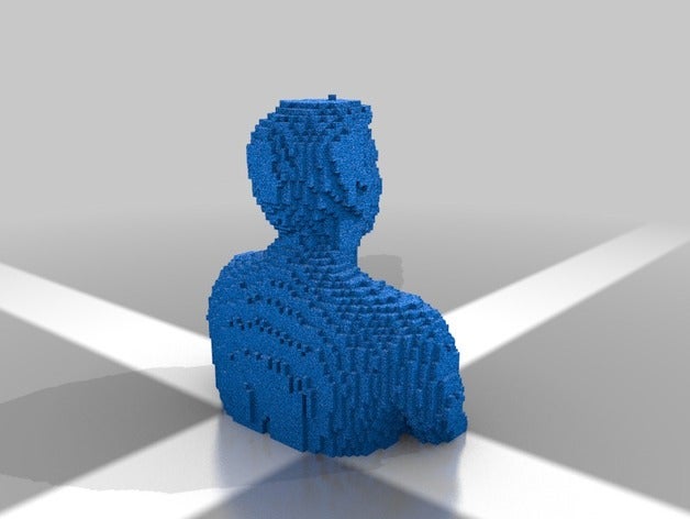 les testaments des autoportraits 3d l'impression 3D print model - Mito3D