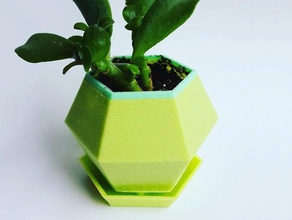 hexagon succulent planter water tray outdoor garden 3d print model - Mito3D
