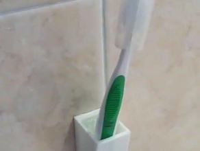 brushtooth holder wallmount bathroom toothbrush 3d print model - Mito3D