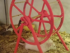 roue pour souris ou criceto gli animali domestici ruota di del mouse la rotellina 3d print model - Mito3D