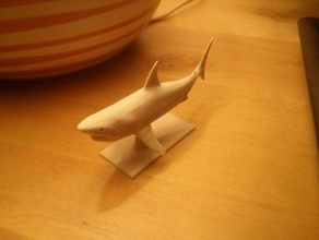 requin blanc posé debout les animaux 3d print model - Mito3D