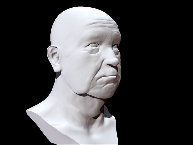 old man bust sculptures older zbrush 3D print model - Mito3D