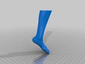 insan femalelady sağ ayak sol modeli insanlar 3d print model - Mito3D