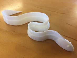 eel hayvanlar 3d print model - Mito3D