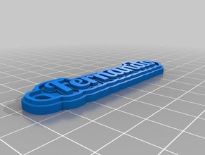 minha personalizado de várias linhas tag porta-chaves chaveiros 3d print model - Mito3D