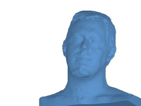 my face scanned scans replicas head minime myself people 3d print model - Mito3D