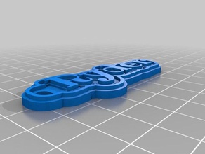 ryder keychain keychains customized 3d print model - Mito3D