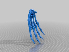 bone hand right learning anatomy bones human 3d print model - Mito3D