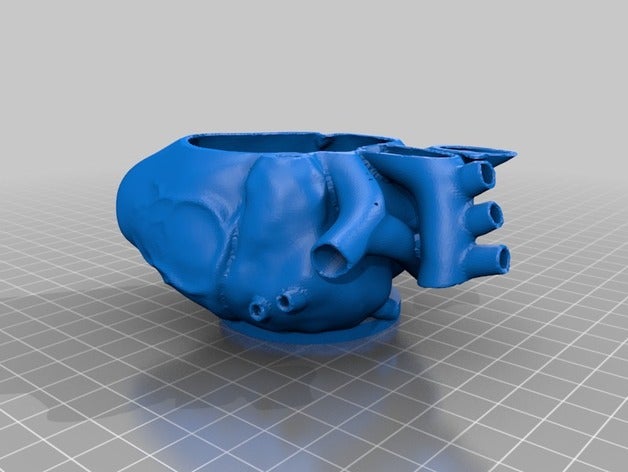 bowl lot heart biology 3D print model - Mito3D