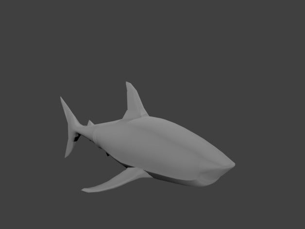 le requin 3d l'impression 3D print model - Mito3D