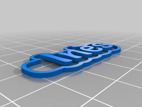 in&egraves2 Schlüsselanhänger angepasst 3d print model - Mito3D