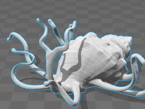 jewlry holding shell art gioielli titolare tentacolo 3d print model - Mito3D