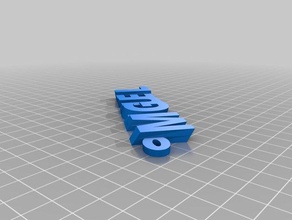 miguel Anahtarlık organizasyon özelleştirilmiş 3d print model - Mito3D