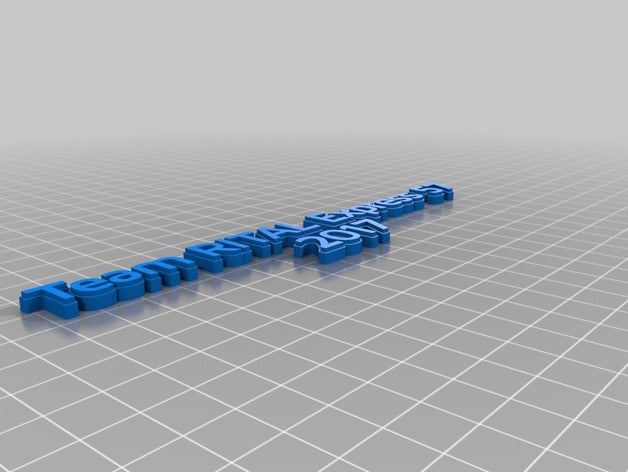 teamv2 Schlüsselanhänger angepasst 3D print model - Mito3D