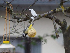 suetball hooks outdoor garden bird birdfeeder created freecad nature tit titmouse wildlife winter 3d print model - Mito3D