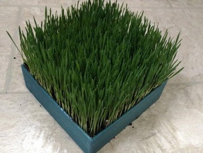 cat grass planter pets catgrass kitten kitties planters plants plant pot wheat 3d print model - Mito3D