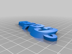 my customized iamburnystext name keyring keyfob geira organization 3d print model - Mito3D