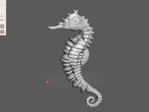 l'hippocampe les animaux 3d print model - Mito3D