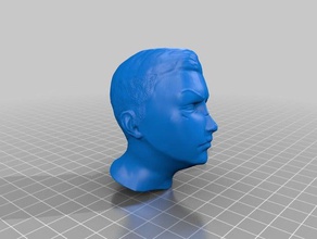 face à la sculpture 3d l'impression 3d print model - Mito3D