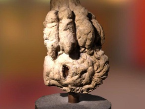 testa mozzata le scansioni repliche La stampa 3d Scansione animale il busto artiglio paura greco leone pedone romano scultura 3d print model - Mito3D