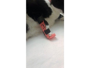 catpetleg brace other cat leg brace remixchallenge 3d print model - Mito3D