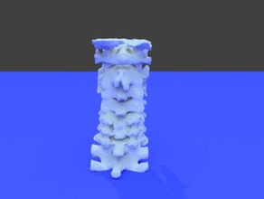 cervicale della colonna vertebrale persone 3d print model - Mito3D