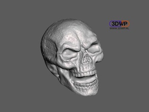skull sculpture 3d scan including hollow version scans replicas human lamp led meshmixer statue 3d print model - Mito3D