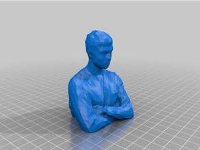 bust other 3d print model - Mito3D